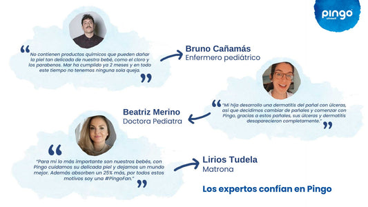 El reconocimiento profesional que respalda a Pingo